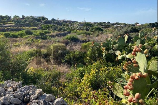 terreno edificabile in vendita a Pantelleria in zona Campobello