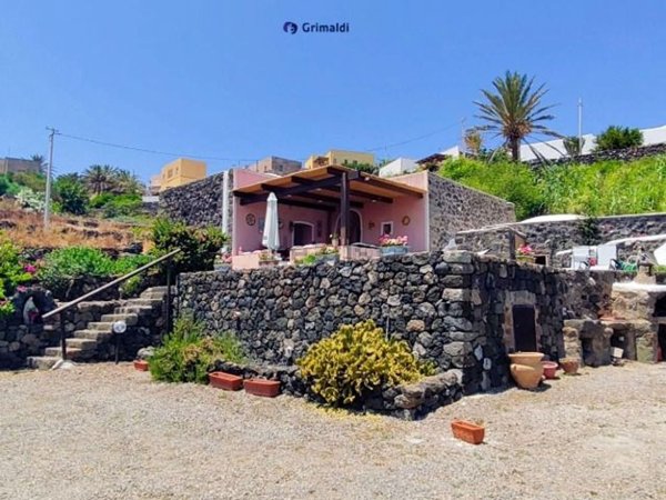 esavano in vendita a Pantelleria in zona Kamma