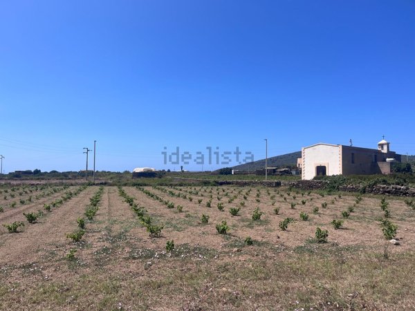quadrivano in vendita a Pantelleria in zona San Michele