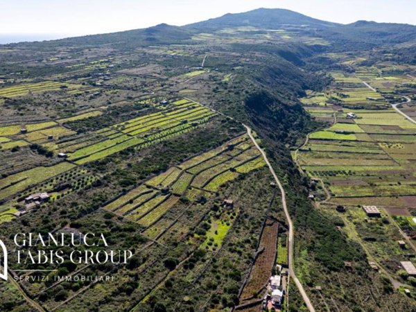 terreno agricolo in vendita a Pantelleria