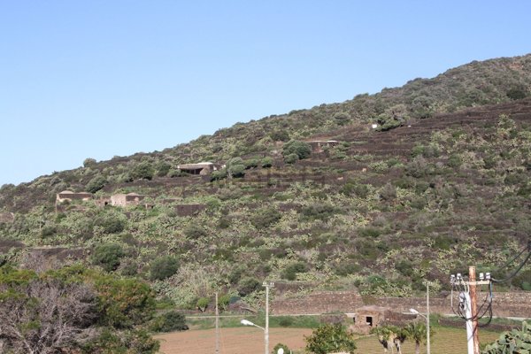 casale in vendita a Pantelleria in zona Madonna delle Grazie