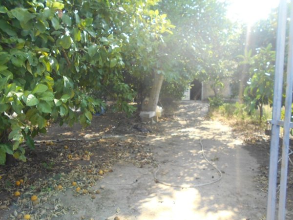 terreno agricolo in vendita a Partanna