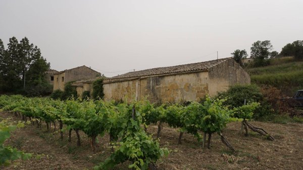 terreno edificabile in vendita a Partanna