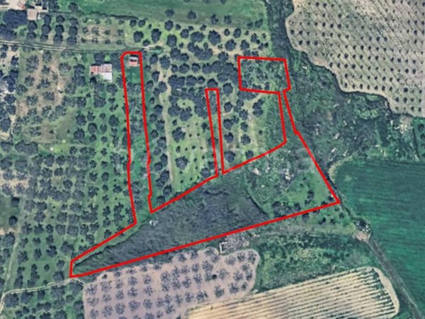 terreno edificabile in vendita a Partanna
