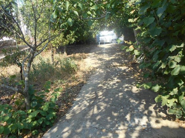 terreno agricolo in vendita a Partanna