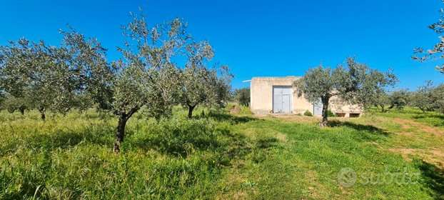 terreno edificabile in vendita a Partanna