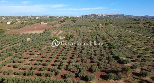 terreno agricolo in vendita a Partanna