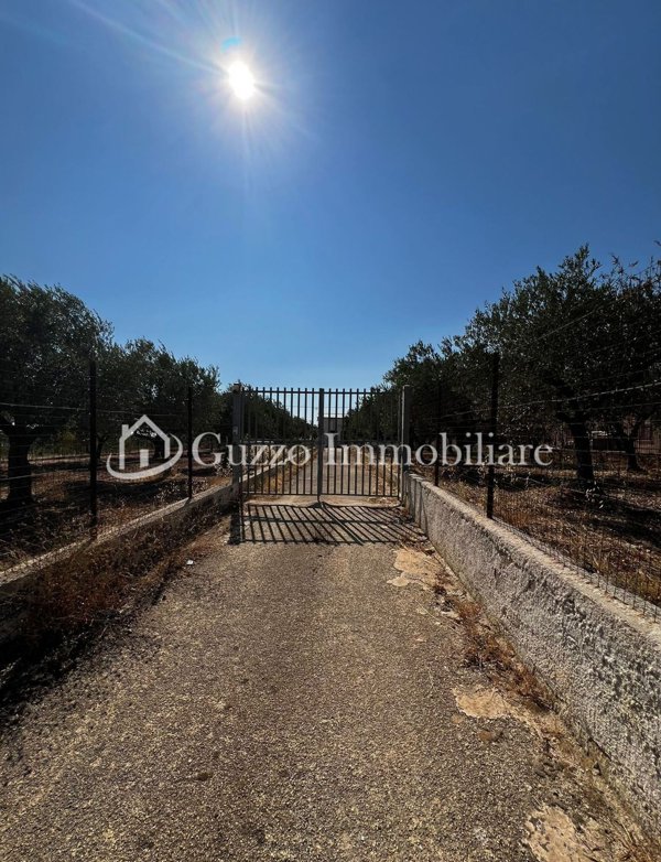 pentavano in vendita a Partanna