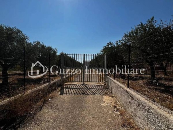 pentavano in vendita a Partanna