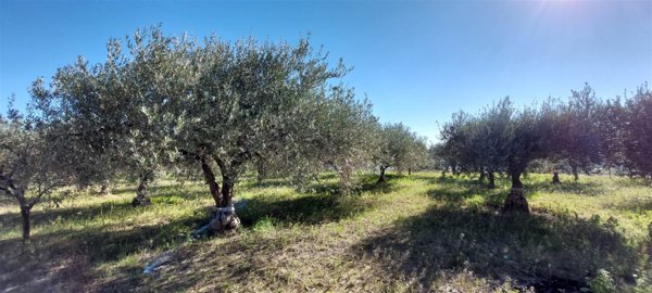 casa indipendente in vendita a Partanna