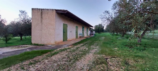 terreno agricolo in vendita a Partanna
