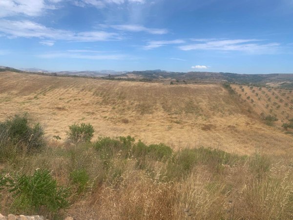 terreno agricolo in vendita a Partanna