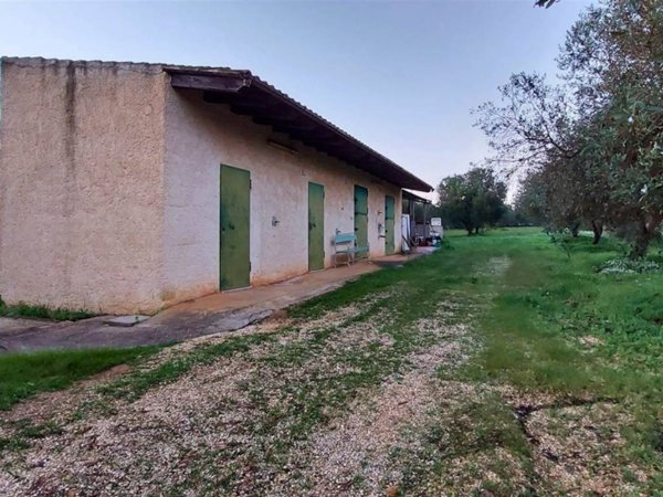 terreno agricolo in vendita a Partanna