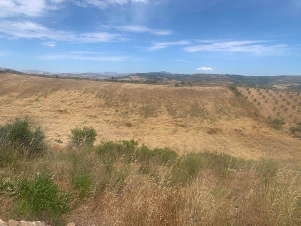 terreno agricolo in vendita a Partanna in zona Camarro