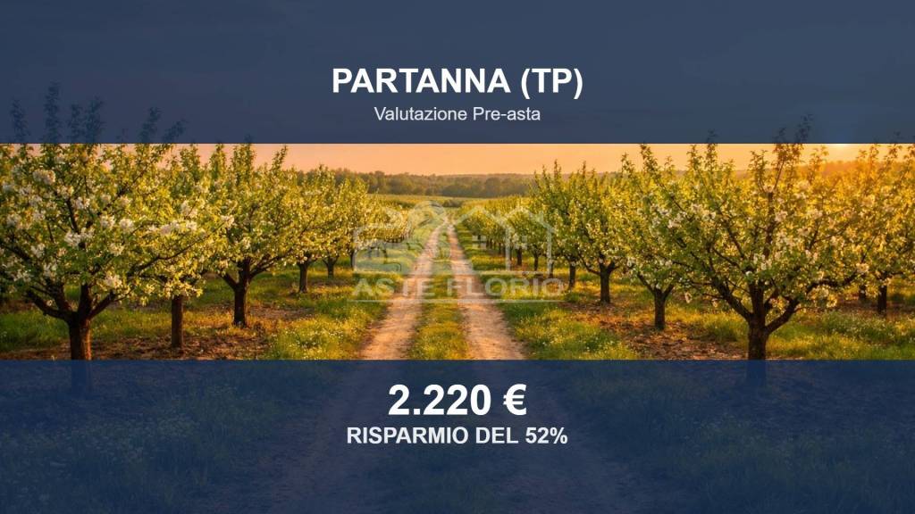 terreno in vendita a Partanna
