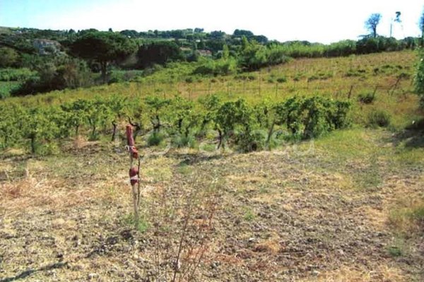 terreno agricolo in vendita a Salemi in zona Sinagia