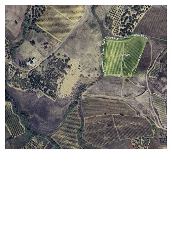 terreno agricolo in vendita a Salemi