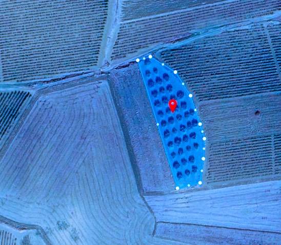terreno agricolo in vendita a Salemi
