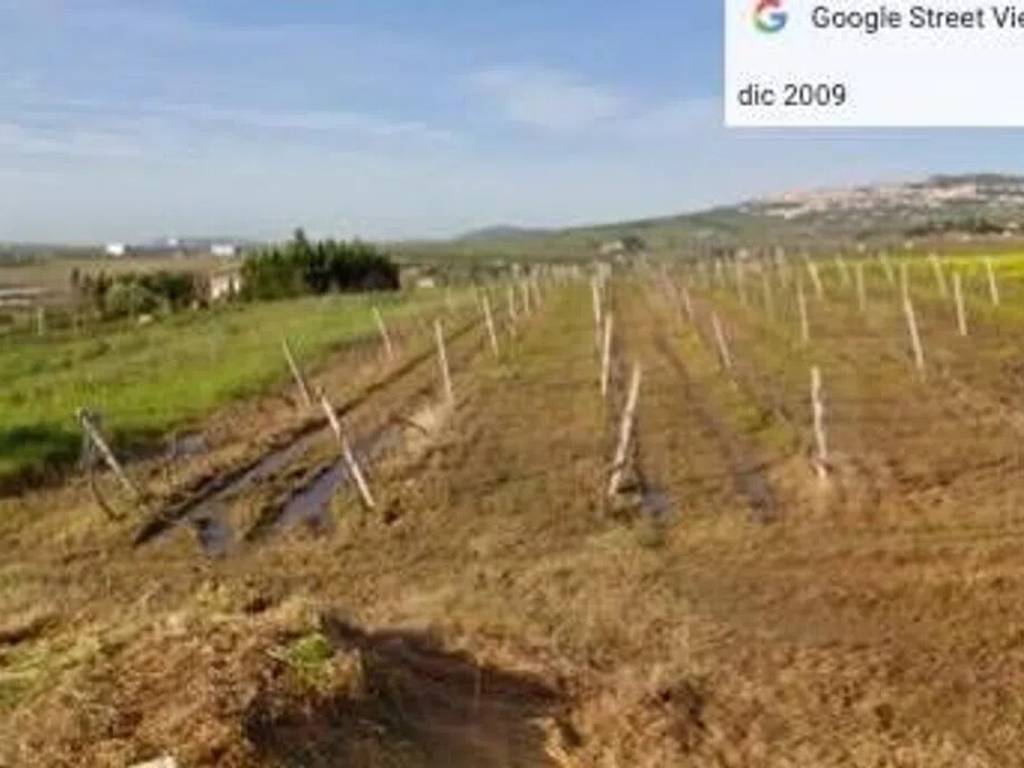 terreno agricolo in vendita a Salemi