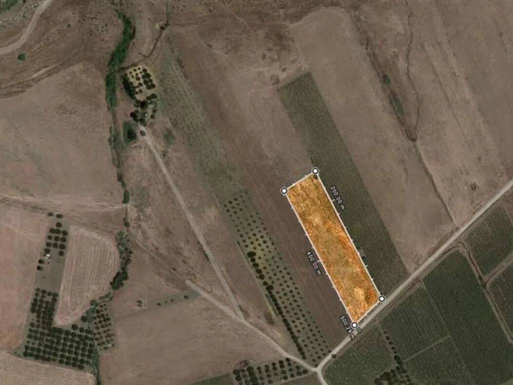 terreno agricolo in vendita a Salemi