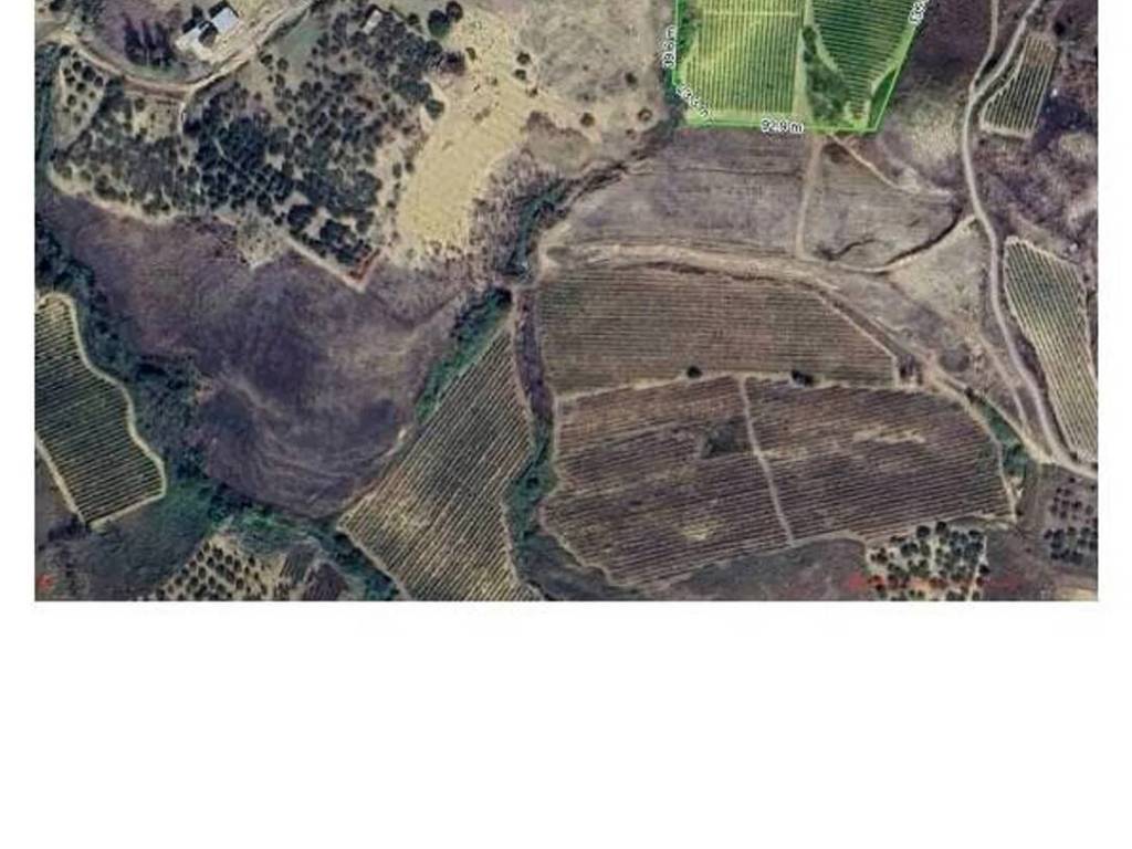 terreno agricolo in vendita a Salemi