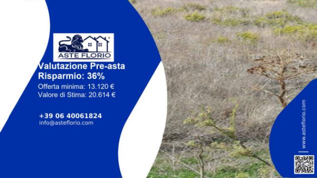 terreno agricolo in vendita a Salemi