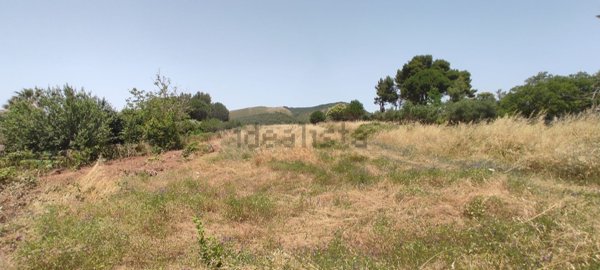 terreno edificabile in vendita a Salemi