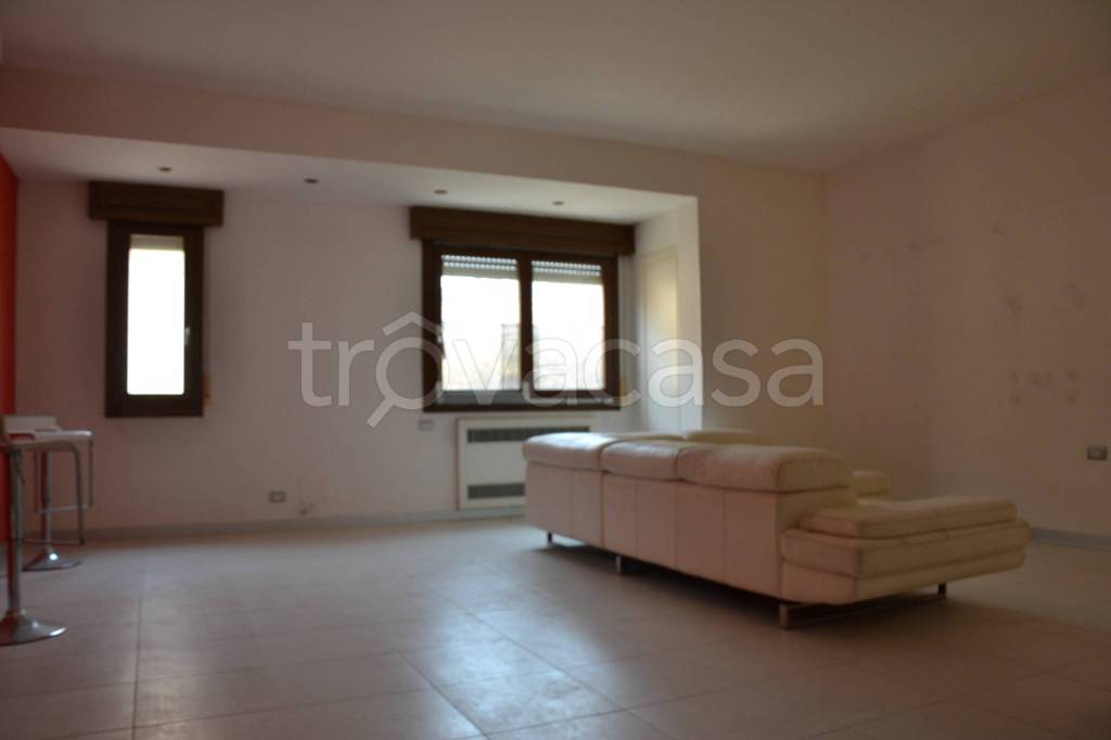 immagine annuncio 0 di 15