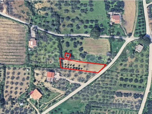 terreno edificabile in vendita a Santa Ninfa