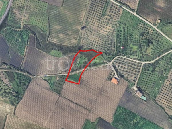 terreno edificabile in vendita a Santa Ninfa