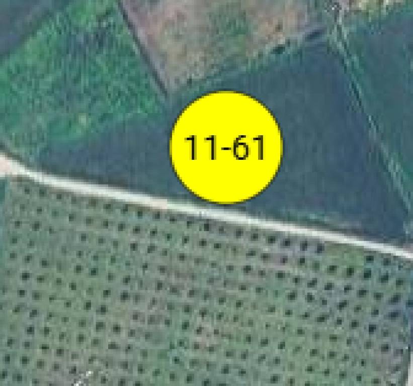 terreno agricolo in vendita a Santa Ninfa