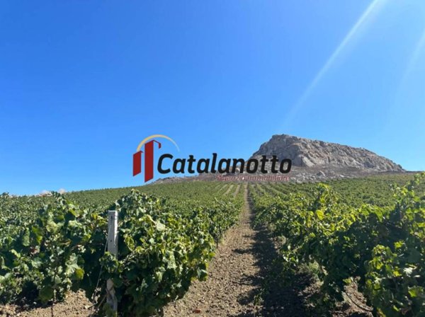 terreno agricolo in vendita a Santa Ninfa