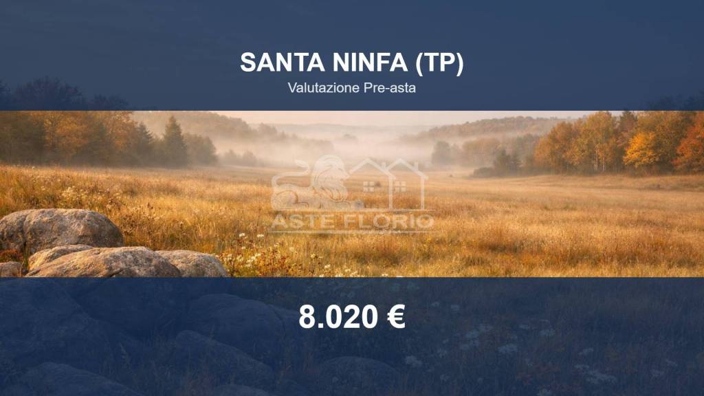 terreno agricolo in vendita a Santa Ninfa