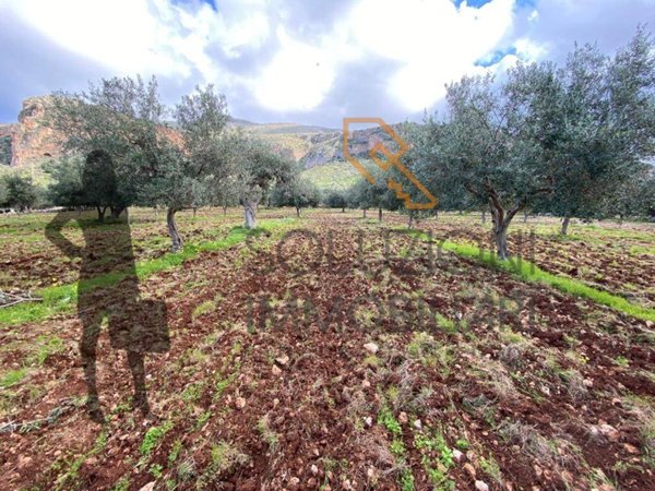 terreno agricolo in vendita a San Vito Lo Capo in zona Castelluzzo