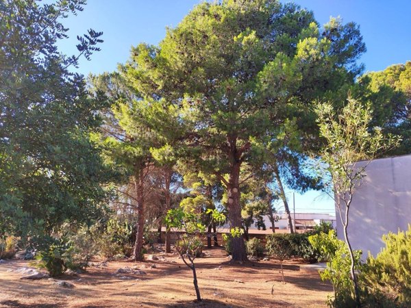 casa indipendente in vendita a San Vito Lo Capo