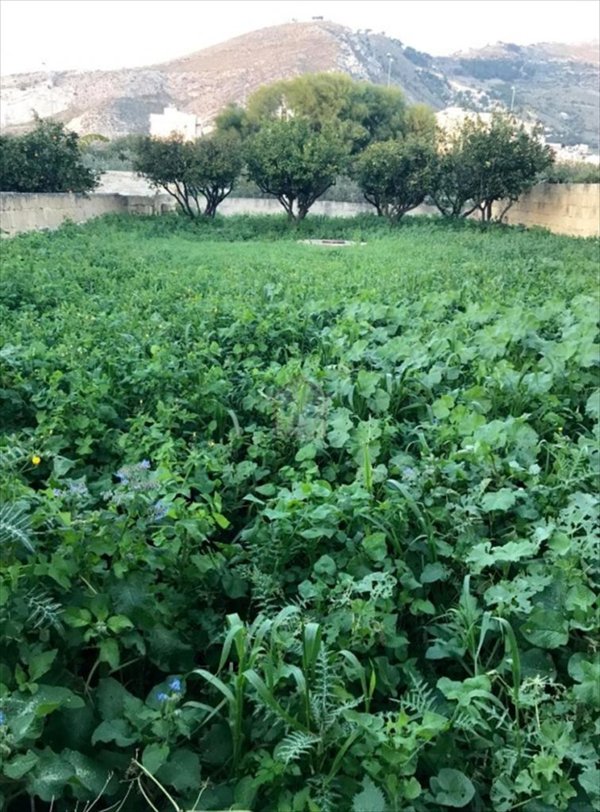 casa indipendente in vendita a Trapani