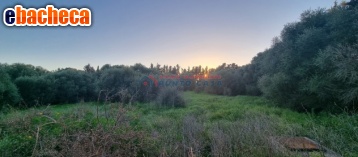 terreno edificabile in vendita a Trapani