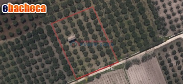 terreno edificabile in vendita a Trapani in zona Immacolatella