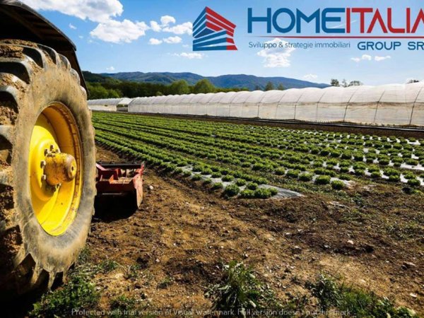 terreno agricolo in vendita a Trapani