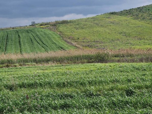 terreno edificabile in vendita a Trapani in zona Centro Città