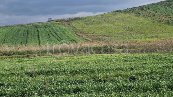 terreno edificabile in vendita a Trapani in zona Centro Città
