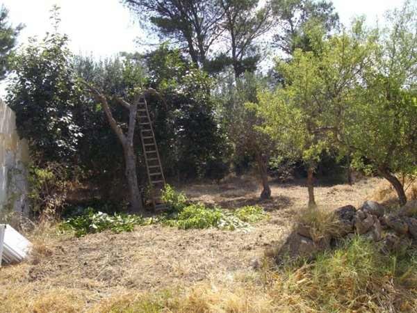casa indipendente in vendita a Trapani