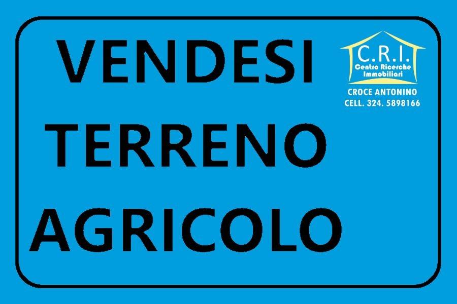 terreno agricolo in vendita a Trapani