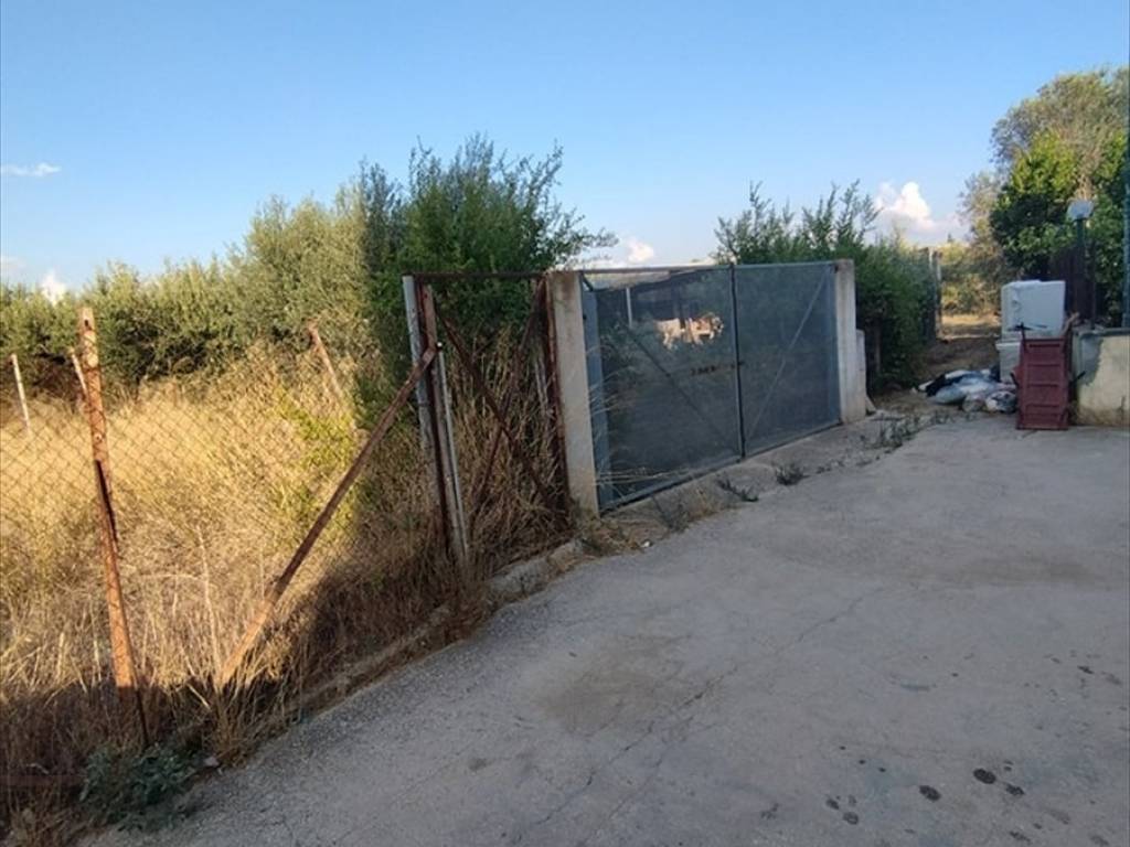 terreno agricolo in vendita a Trapani
