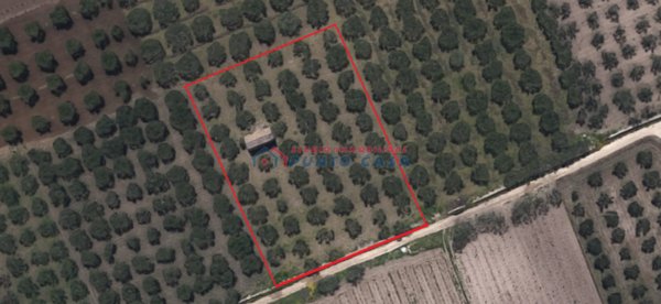 casa indipendente in vendita a Trapani in zona Immacolatella