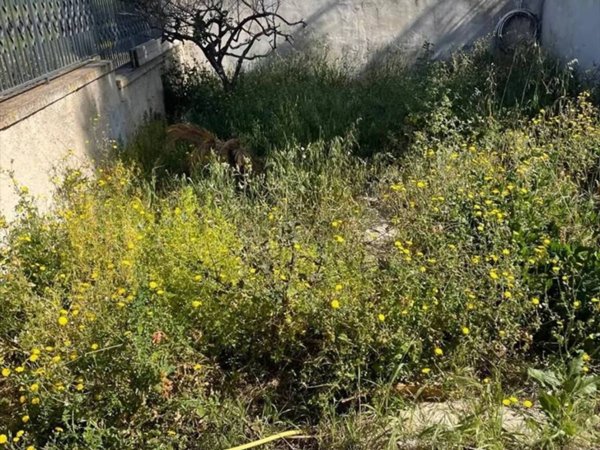 casa indipendente in vendita a Trapani in zona Ummari