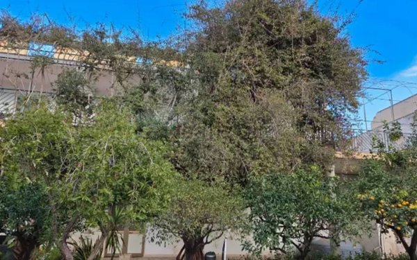 appartamento in vendita a Trapani