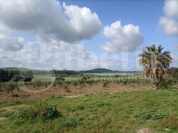 casa indipendente in vendita a Trapani