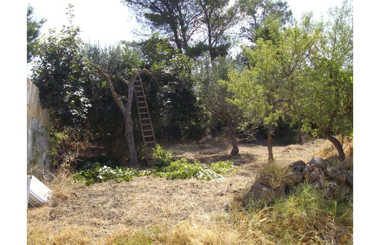 casa indipendente in vendita a Trapani