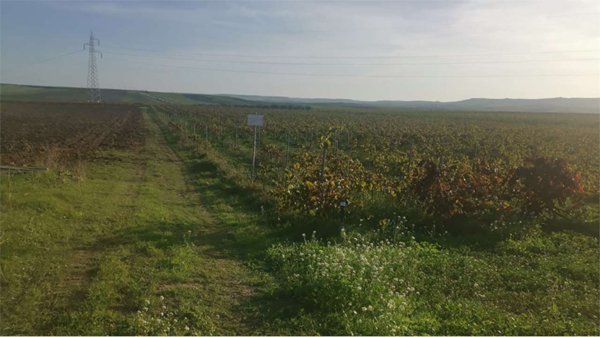 locale di sgombero in vendita a Trapani